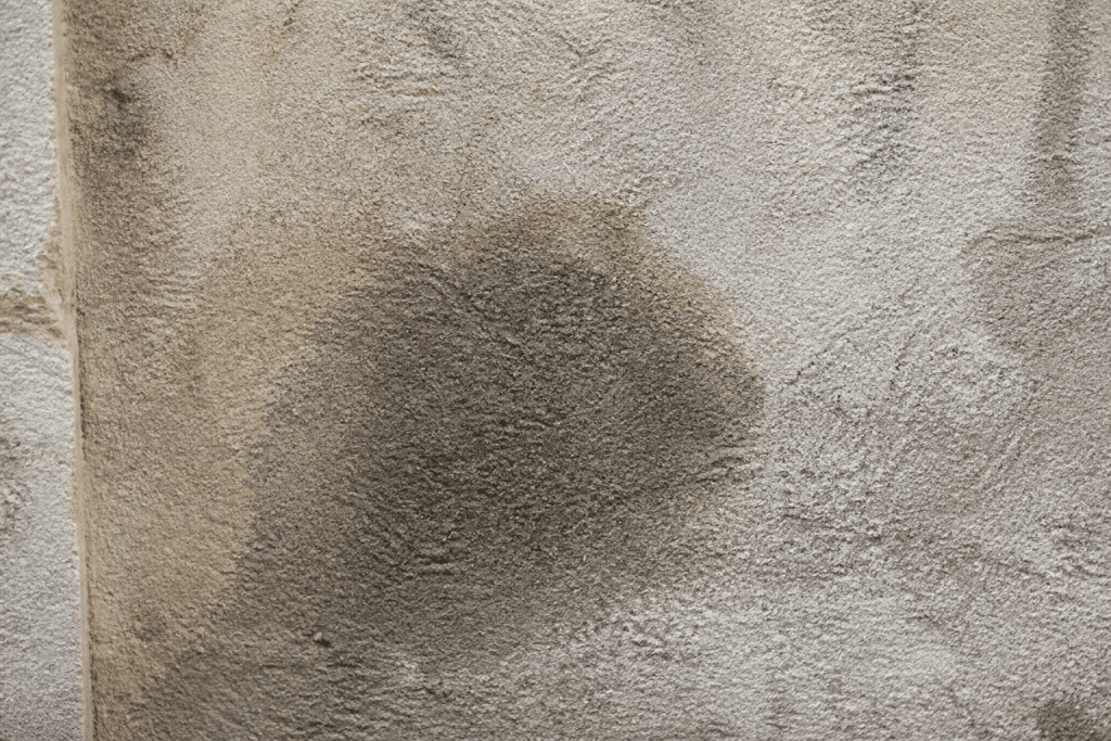 Tache d'huile sombre sur surface de chaux poreuse